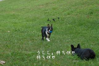 e0039002_18132038.jpg