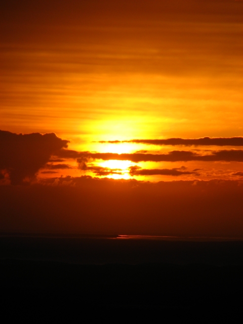 f0020302_19415667.jpg