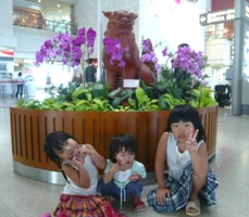 d0016003_124339.jpg