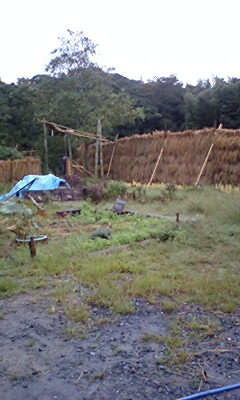c0126205_1017354.jpg