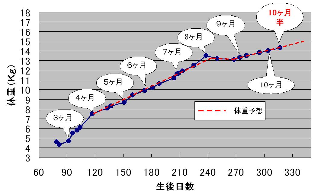 c0113109_22493580.jpg