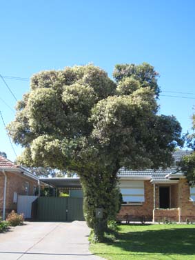 f0128516_10252377.jpg