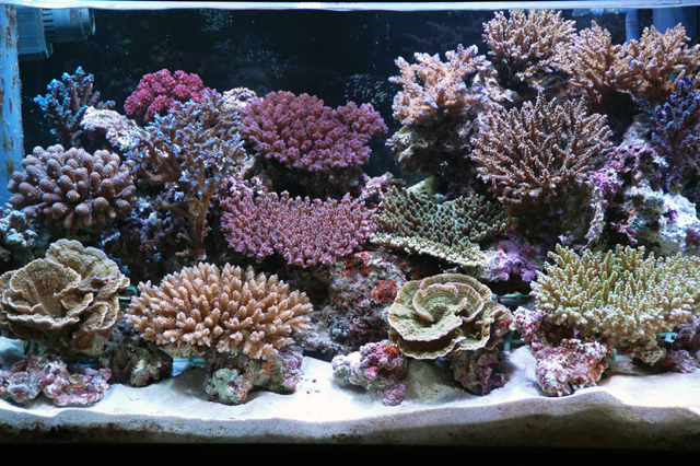 f0033126_23241810.jpg