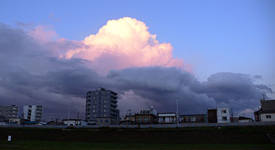 a0046429_217476.jpg