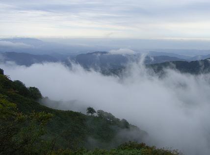 f0118332_1722846.jpg