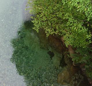 f0118332_17324666.jpg