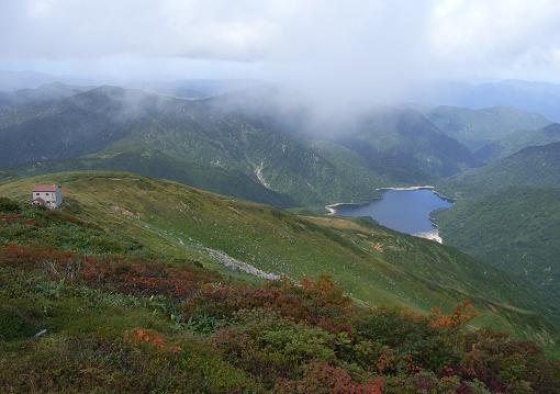 f0118332_823211.jpg