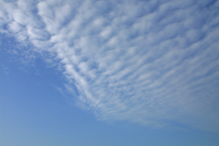 a0097735_22531743.jpg