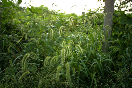 a0097735_22534985.jpg