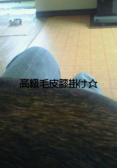e0117138_9583011.jpg