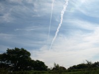 c0119142_524532.jpg