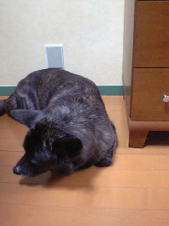 f0076345_23354883.jpg