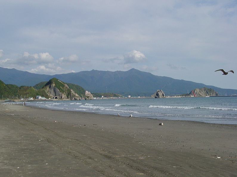 d0085647_1914135.jpg