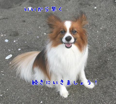 d0013149_0141686.jpg