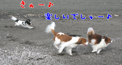 d0013149_0372951.jpg