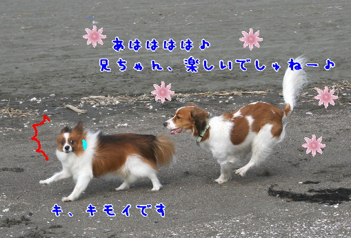 d0013149_0421550.jpg