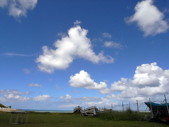 b0049152_10594590.jpg