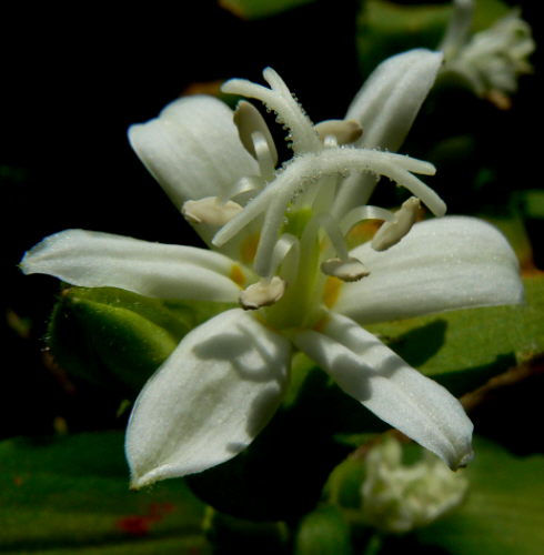 d0091754_18122487.jpg