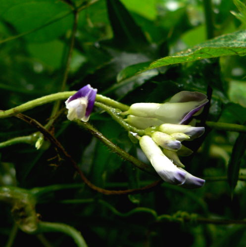 d0091754_242556.jpg