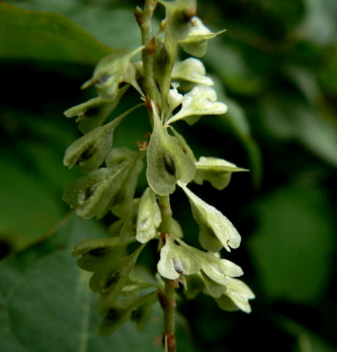 d0091754_384565.jpg