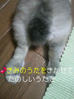 f0104057_21233044.jpg