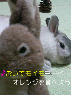 f0104057_212362.jpg