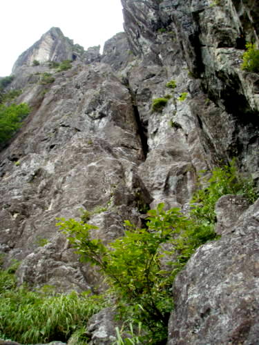 b0050067_23253558.jpg
