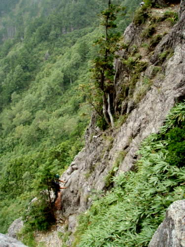 b0050067_23362062.jpg