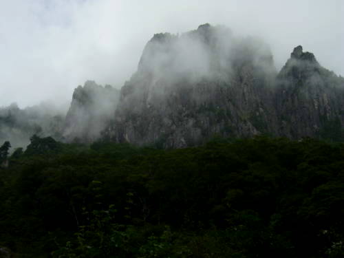 b0050067_2375895.jpg