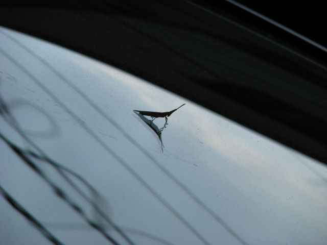d0079373_162284.jpg