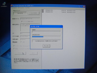 a0002177_2364027.jpg