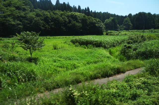 b0102780_23542669.jpg
