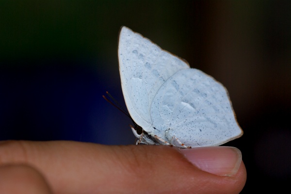 c0135381_0473594.jpg
