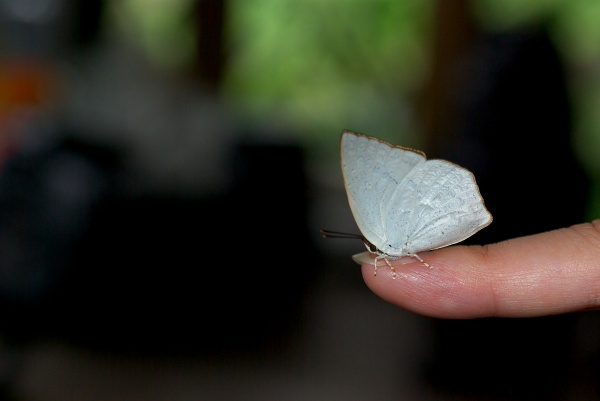 c0135381_048856.jpg