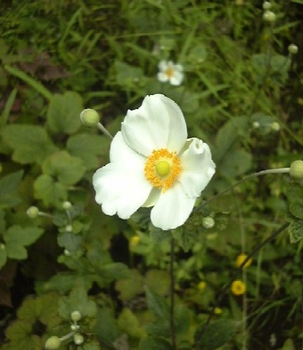 f0039281_23304877.jpg