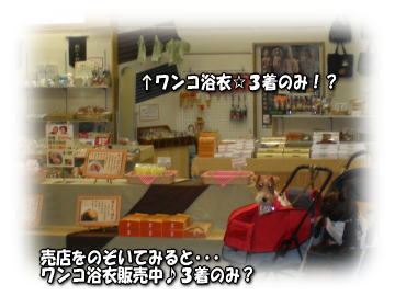 a0037682_21474825.jpg