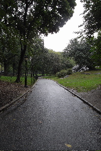c0130986_5333355.jpg