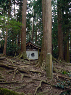 b0014587_2283521.jpg