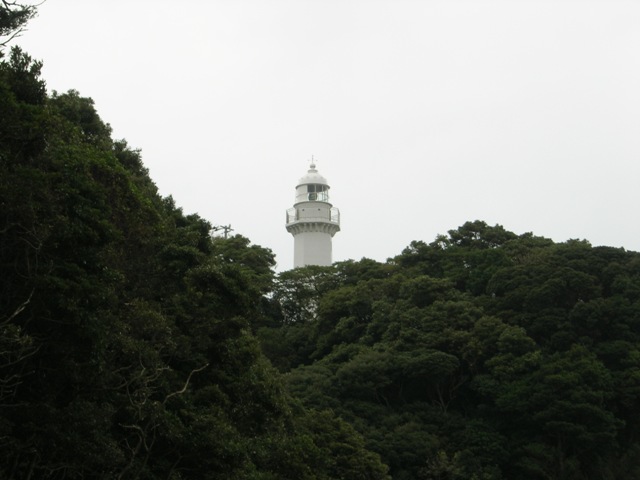 a0045688_23225344.jpg