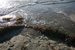 b0003089_21223976.jpg