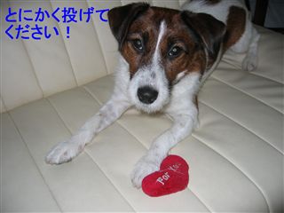 e0121589_013950.jpg