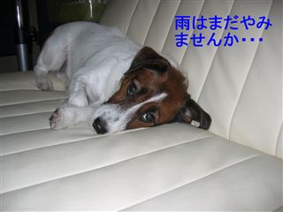 e0121589_072477.jpg