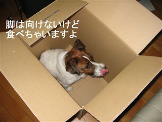 e0121589_2346515.jpg