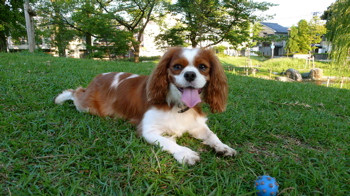 a0079292_20555419.jpg