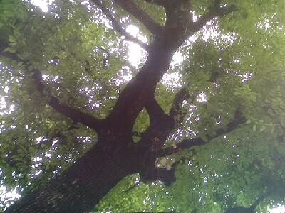 c0062796_20512857.jpg