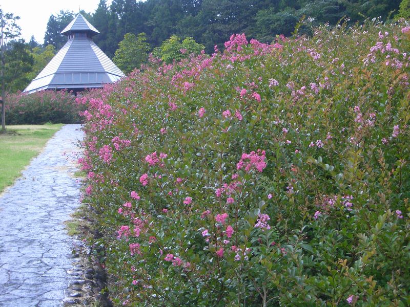 d0069498_13494861.jpg