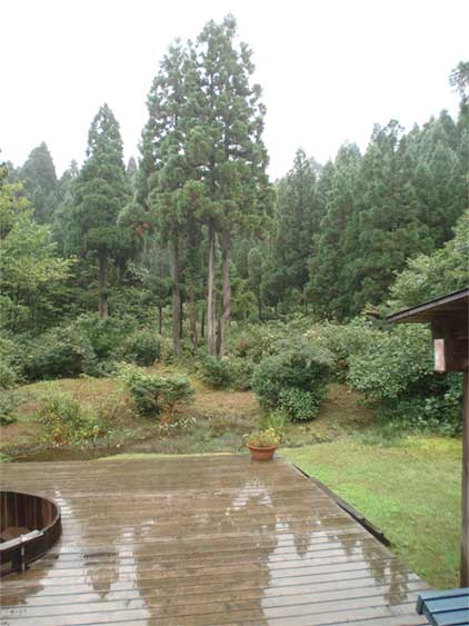 a0061599_8355194.jpg