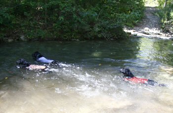 c0050400_1304512.jpg