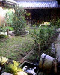 d0077603_16152852.jpg