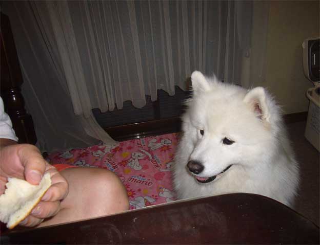 e0018604_14345619.jpg